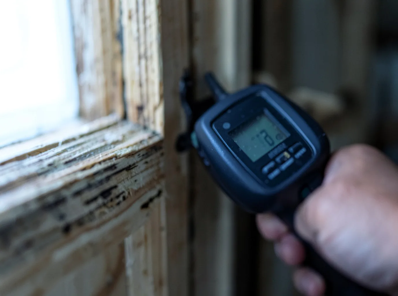 Moisture Inspection And Documentation in Cadiz, KY